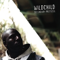 Wildchild - Hands Up