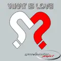 What Is Love (Club Mix)