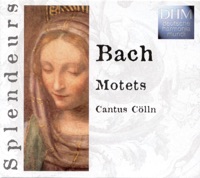 Bach: Motets - Cantus Cölln