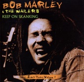 Bob Marley & The Wailers - Soul Shakedown Party