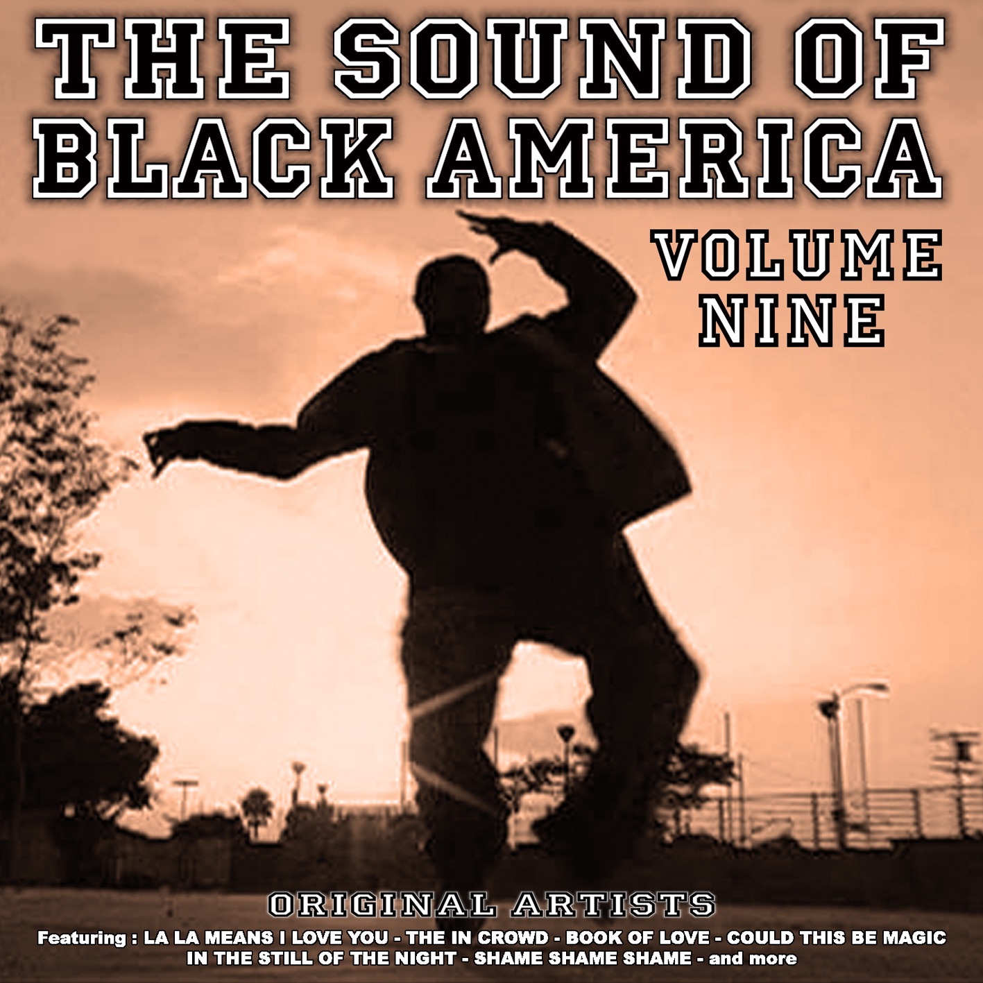 The Sound of Black America Vol 9