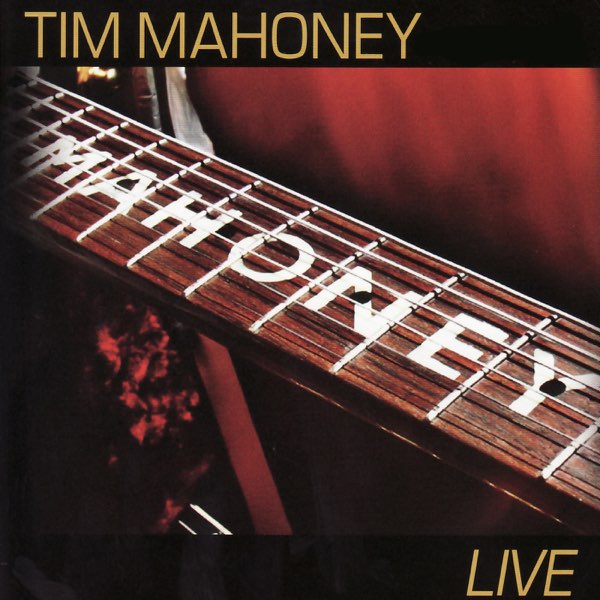 tim mahoney net worth