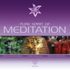 Pure Spirit of Meditation - EAO