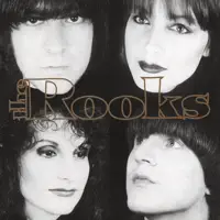 Circle of Fools — THE ROOKS
