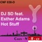 Hot Stuff (Arj Snoek Extended Mix) - DJ Sd lyrics