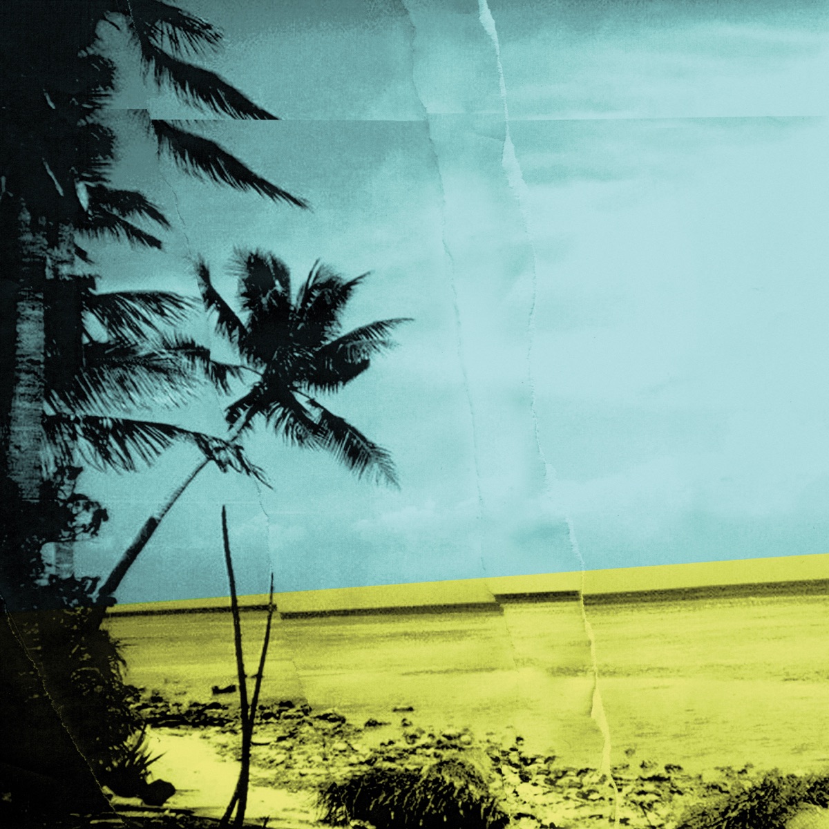 Cover du titre Afternoons