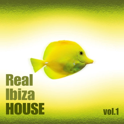 Real Ibiza House