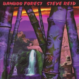 Amazon Mist Steve Reid