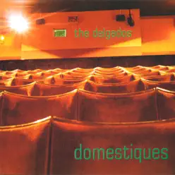 Domestiques - The Delgados