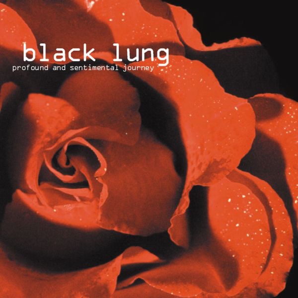 Обложка альбома «Profound and Sentimental Journey» — Black Lung