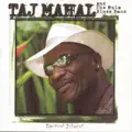 The New Hula Blues