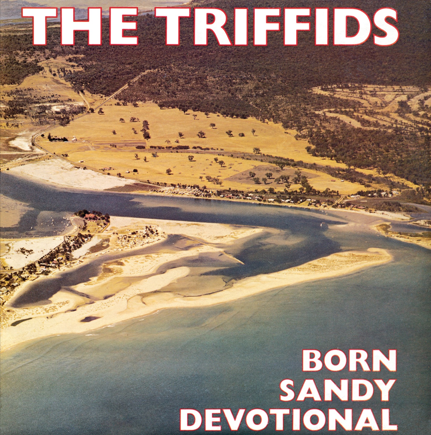 Born Sandy Devotional (Re-Issue)