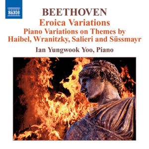 12 Variations On the Menuet a la Vigano from Haibel's Le Nozze Disturbate, WoO 68
