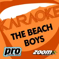 The Beach Boys
