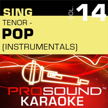 Fragile (Karaoke Instrumental Track) [In the Style of Sting]