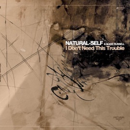 I Dont Need This Trouble (feat. Alice Russell) Natural Self