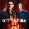 Supernatural, Saison 5 (VF) - Supernatural