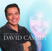 David Cassidy - I Think I Love You - Movie Themes