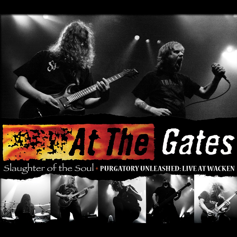 At the Gates - The Swarm