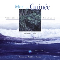 Toutes les mers du monde : Mer de Guinée - Laurent Dury
