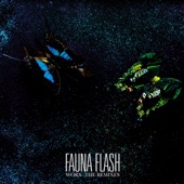 Shaken (Fauna Flash Timbales Remix) artwork