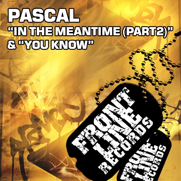 Обложка альбома «In the Meantime, Pt. 2 / You Know - Single» — Pascal
