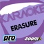 Zoom Platinum Artists, Vol. 101: Hits of Erasure (Karaoke Version)