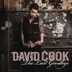 The Last Goodbye - Single - David Cook