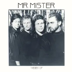 The Best of Mr. Mister - Mr. Mister