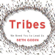 Seth Godin - Tribes: We Need You to Lead Us (Unabridged)