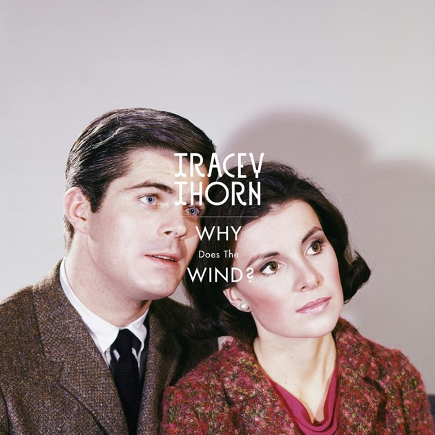 Tracey Thorn - Solo: Songs And Collaborations 1982-2015