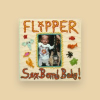 Flipper