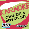 Walk of Life (Karaoke Version) - Zoom Karaoke