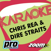 Zoom Platinum Artists, Vol. 82: Chris Rea & Dire Straits (Karaoke Version)