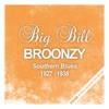 Big Bill Broonzy - Worrying You Off My Mind (Remastered)