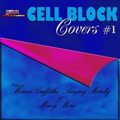 Cell Block Covers