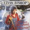 Soul Food - Elvin Bishop lyrics