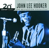 20th Century Masters - The Millennium Collection: The Best of John Lee Hooker