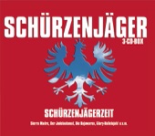 Zillertaler Schürzenjäger - Dafür mach ma Musik