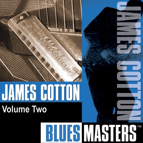 Blues Masters Vol. 2