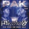 P.A.K - Pak lyrics