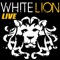 Broken Heart - White Lion lyrics