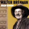 Old Shep