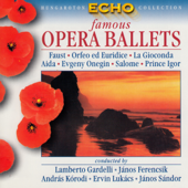 Evgeny Onegin - Polonaise