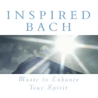 Neumann-Chor & Freiburger Barockorchester - Mass in B minor, BWV 232: Sanctus: Sanctus — Thomas Hengelbrock, Balthasar