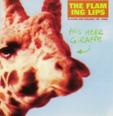 This Here Giraffe - EP artwork