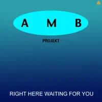 Right here waiting for you (Radio edit) — AMB Projekt