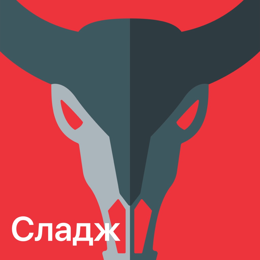 Сладж: главное