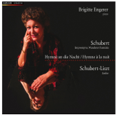 Mélodie Hongroise en Si Mineur, D. 817