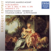 Quartet for Flute and String Trio No. 1 in D major, K. 285: Rondeau. Allegretto artwork